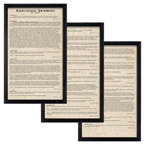 Constitutional Amendments 11-27 Parchment Paper Wood Frame Glass Pane